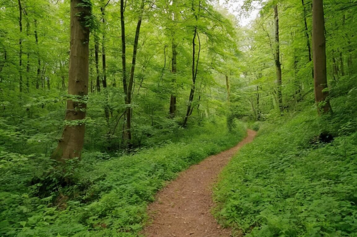 Wandern Hannover